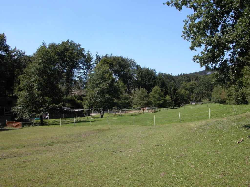 Pension Haus Am Walde Schmallenberg Esterno foto