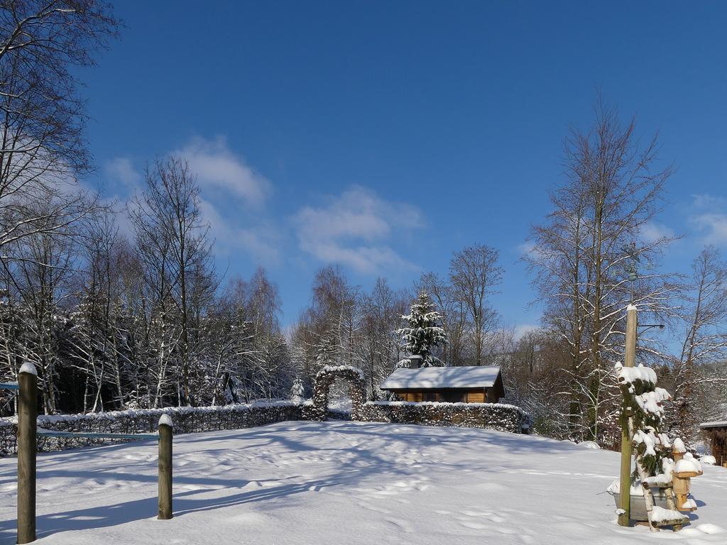 Pension Haus Am Walde Schmallenberg Esterno foto