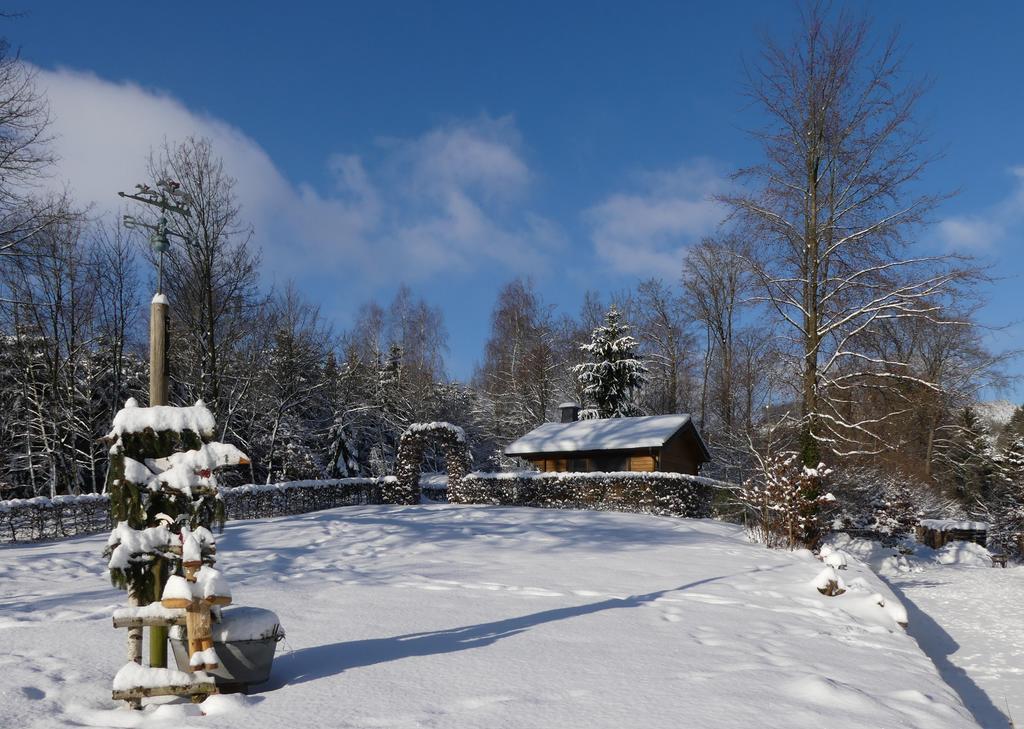 Pension Haus Am Walde Schmallenberg Esterno foto