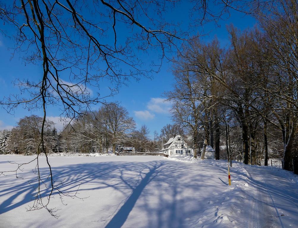 Pension Haus Am Walde Schmallenberg Esterno foto