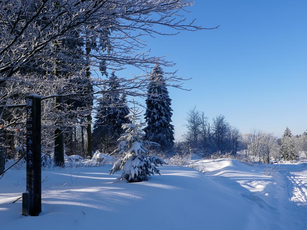 Pension Haus Am Walde Schmallenberg Esterno foto