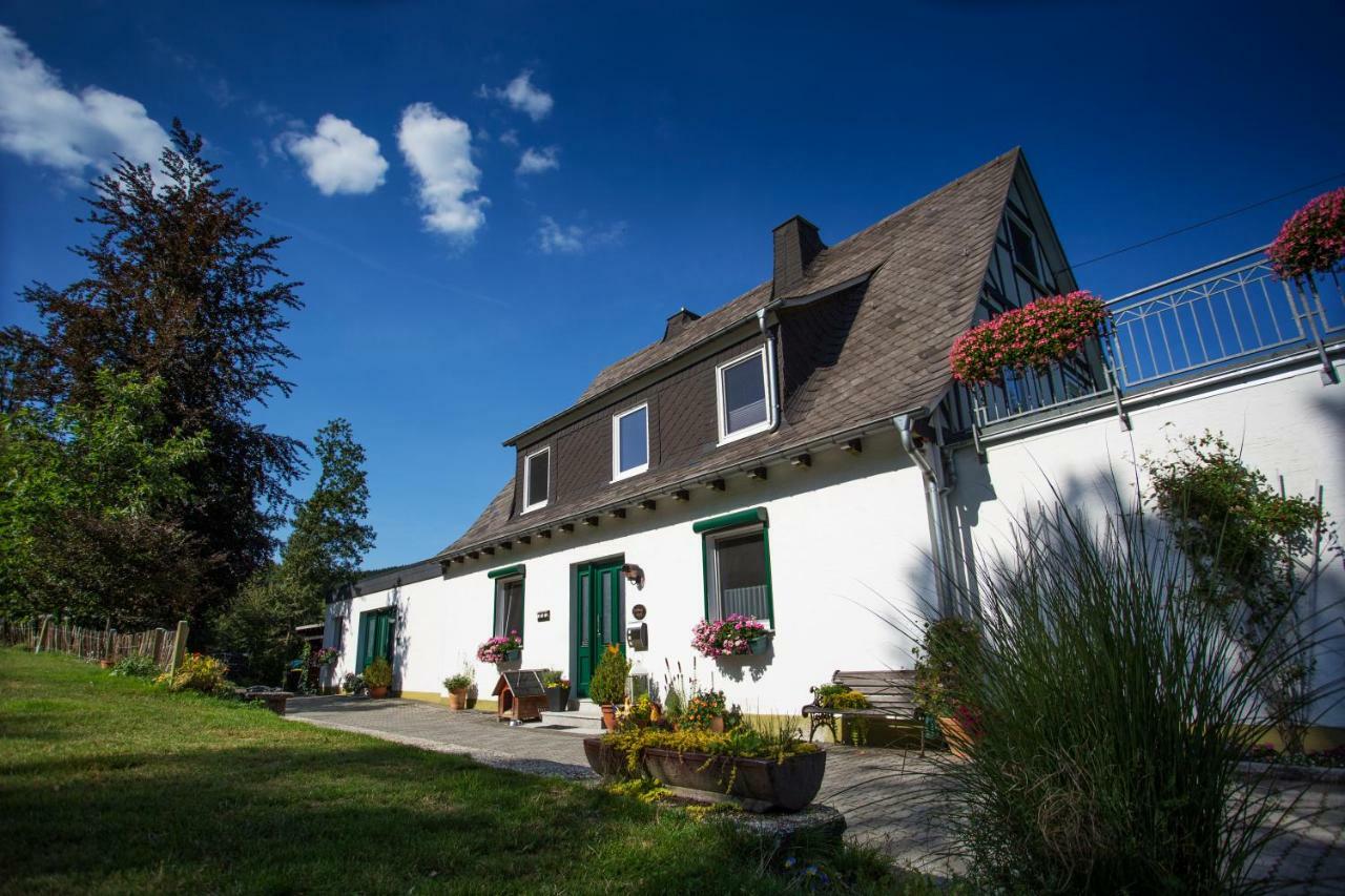 Pension Haus Am Walde Schmallenberg Esterno foto