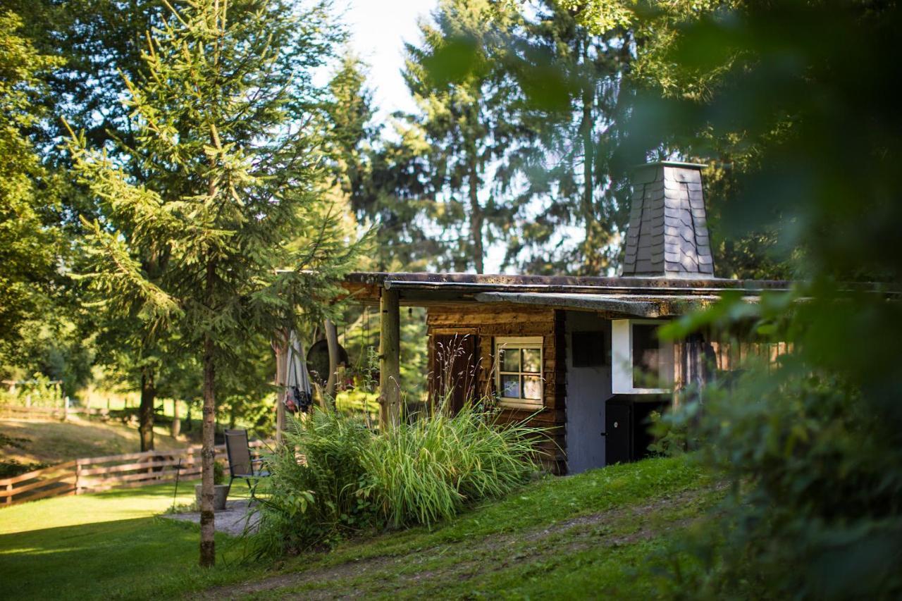 Pension Haus Am Walde Schmallenberg Esterno foto