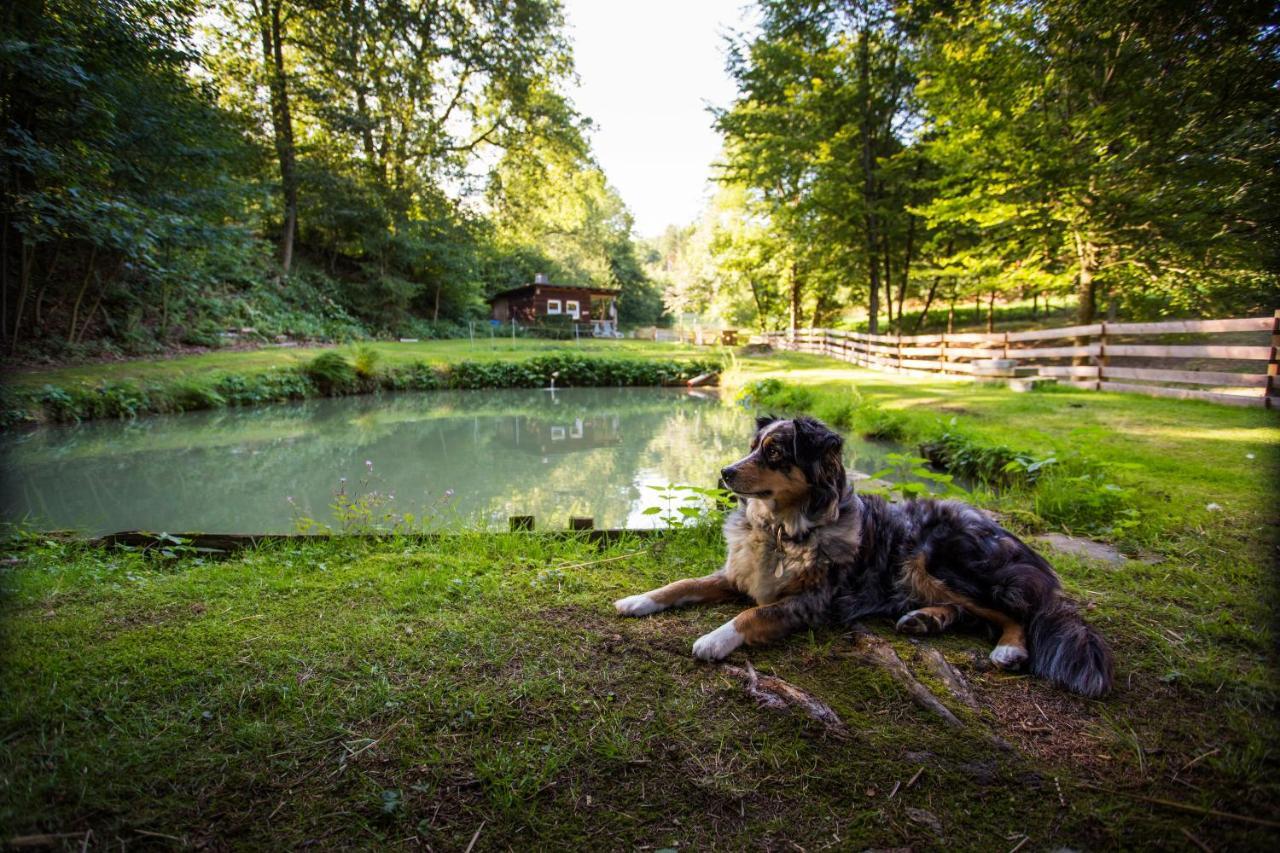 Pension Haus Am Walde Schmallenberg Esterno foto